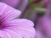 Юлианна Татьянина | Москва