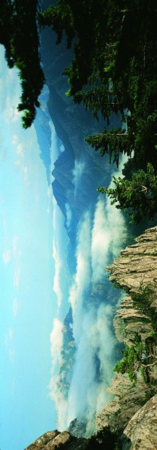 Татьяна Багацкая ♪♫上司子 ♫♪ | Севастополь