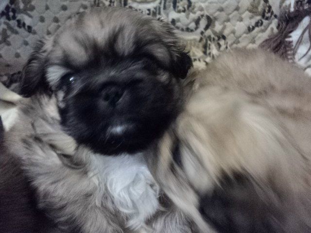 №84, Надежда Руднева, 119 лет, Новомосковский №84, Надежда Руднева, 119 лет, Новомосковский