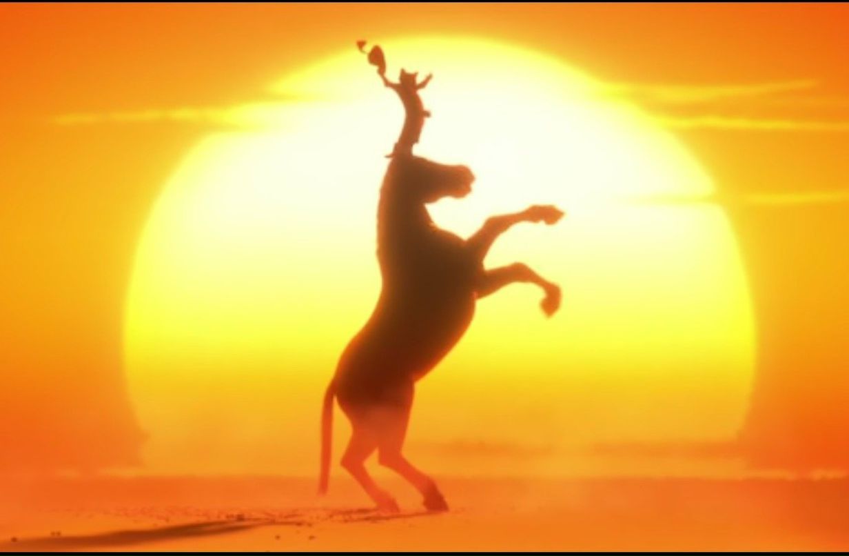 Дарья Сайко | 