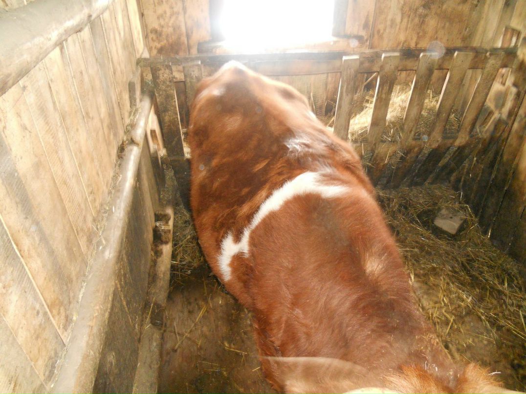 Екатерина Митрошина Олеговна | Уфа