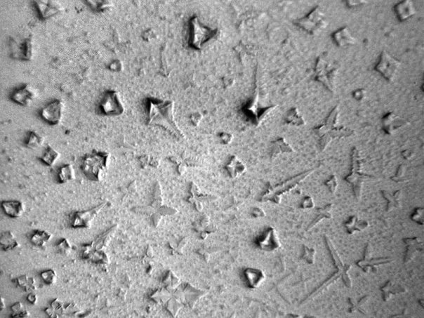 №68, Мари Вишневская, 37 лет №68, Мари Вишневская, 37 лет