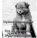 Фотография Инна Прищик