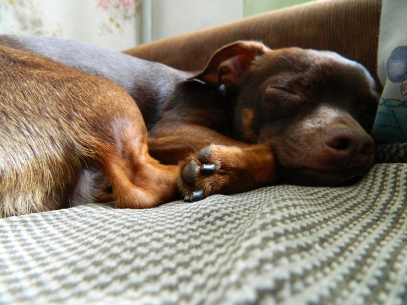 Оксана Бельская | Ульяновск
