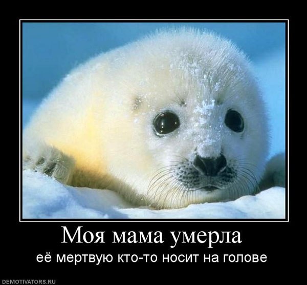 Михаил Дроздов | Устюжна