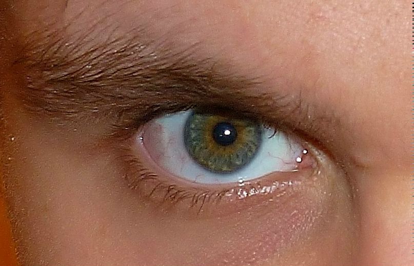 Виктор Шекасюк Николаевич | Ростов-на-Дону