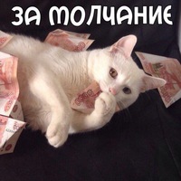 Миша Чернов