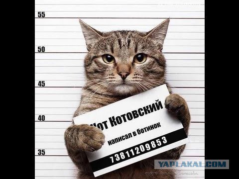 Дмитрий Фаррахов, Россия, Уфа