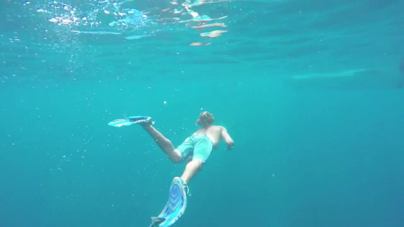 Захватывающий летний ролик Jay Alvarrez и Alexis Ren Summer 2015 (
