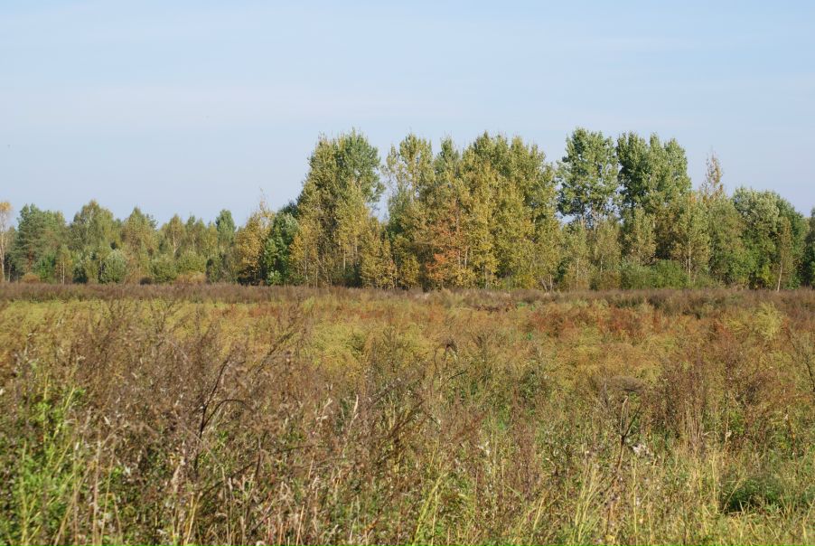 №1, Виктор Малинин, 43 года, Санкт-Петербург, Россия №1, Виктор Малинин, 43 года, Санкт-Петербург, Россия