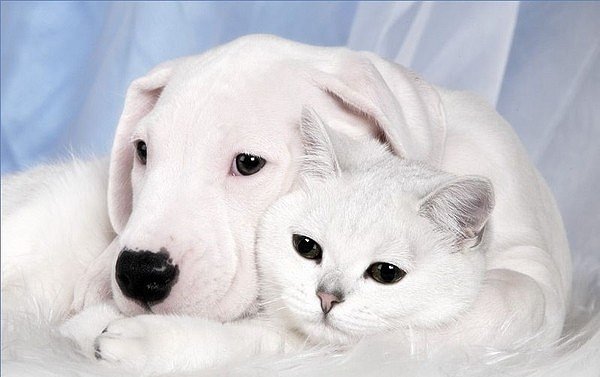 №101, Анна Звонецкая, Киев №101, Анна Звонецкая, Киев