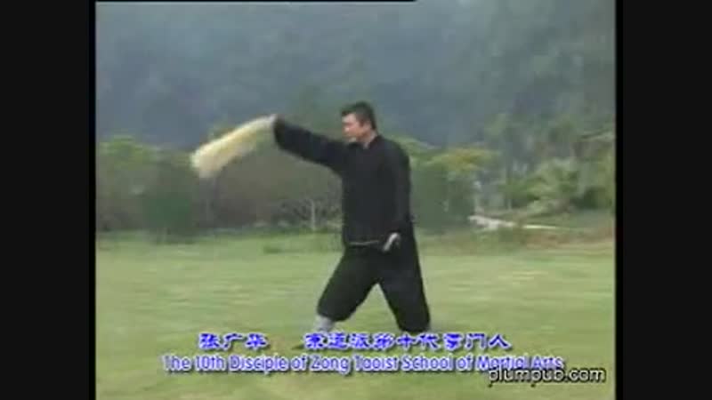 Taoist Whisk