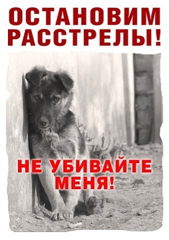 №123, Мария Кулешова, Санкт-Петербург, Россия №123, Мария Кулешова, Санкт-Петербург, Россия