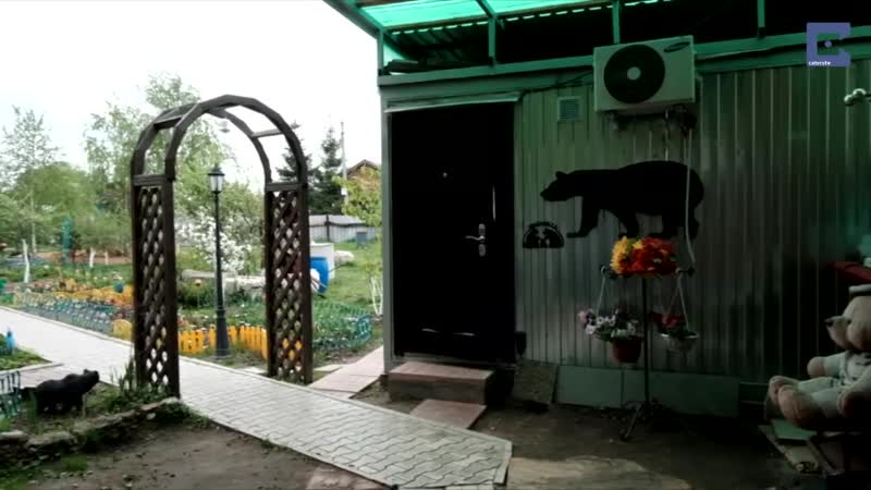 Обычная жизнь медведя Степана в семье