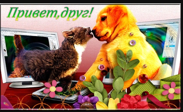 Открытки лучшему другу мужчине приветик