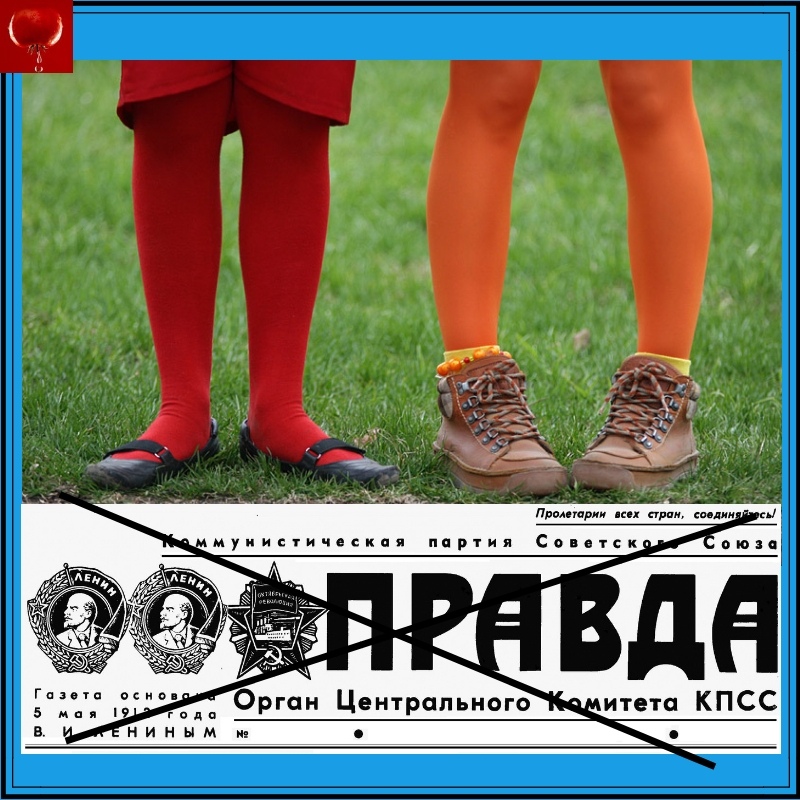 викторина ответ