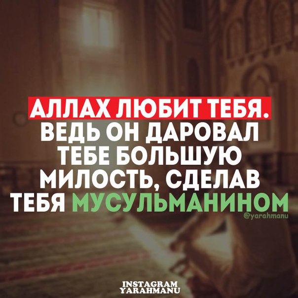 картинка аллах тебя накажет теледивы дополнили
