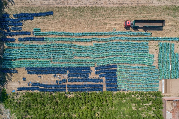 Кладбища велосипедов. Китайский фотограф Ву Гоюн прославился серией работ «Мест нет», посвященной невостребованным общественным велосипедам в китайских городах. Он сделал снимки велосипедных