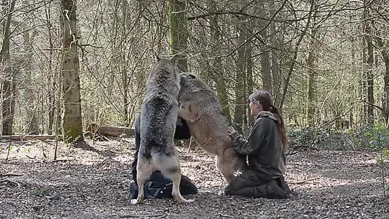 Видео от Janna