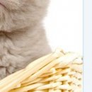 №54, Андрей Иванов, 13.04.1996 №54, Андрей Иванов, 13.04.1996