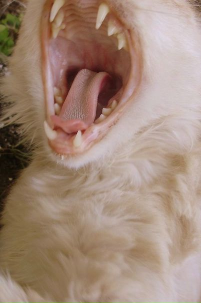 №135, Танюшка Костюк, 31 год, Володарка №135, Танюшка Костюк, 31 год, Володарка