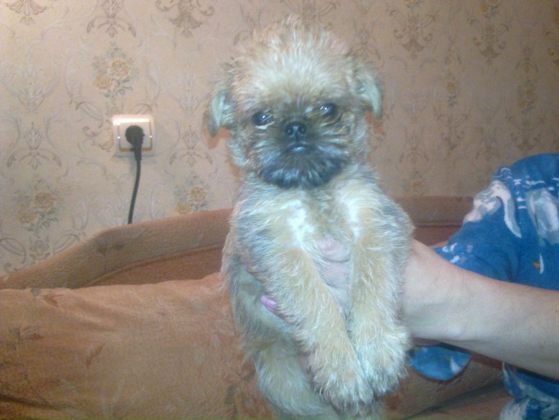 №93, Татьяна Иванова, 62 года, Сестрорецк №93, Татьяна Иванова, 62 года, Сестрорецк