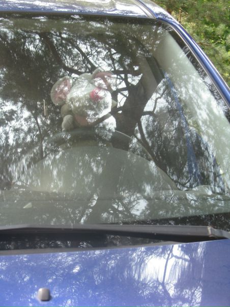 №131, Дмитрий Нестеров, Москва, Россия №131, Дмитрий Нестеров, Москва, Россия