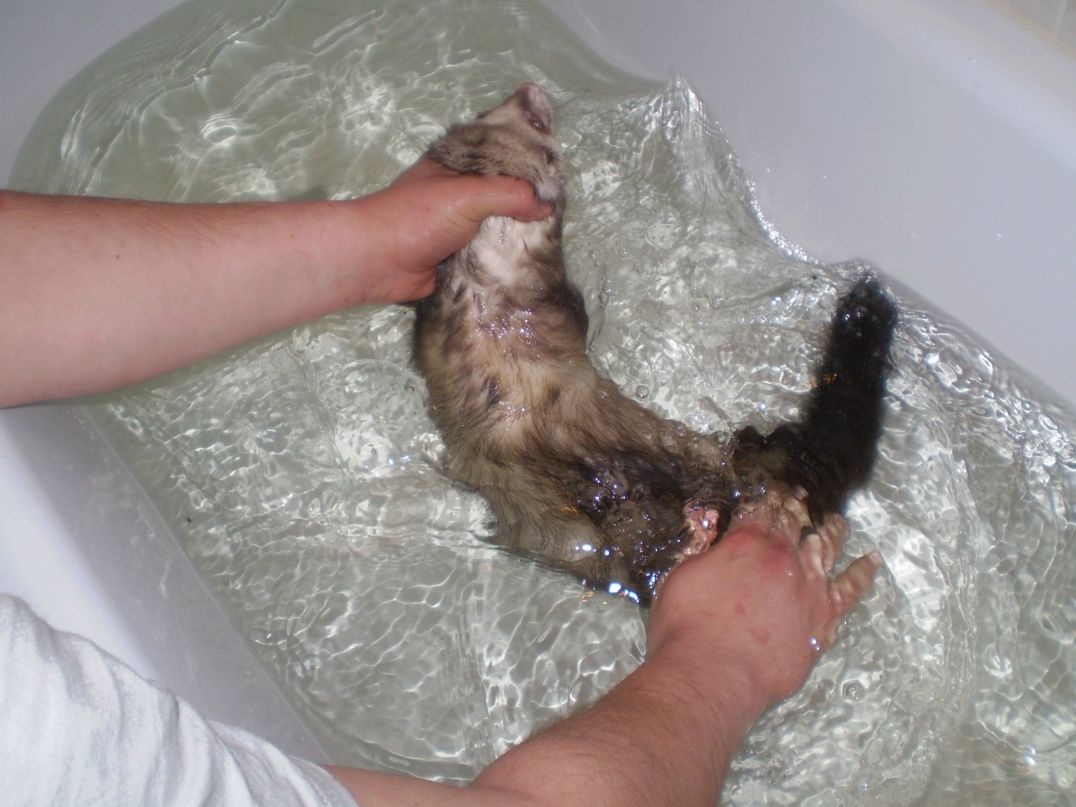 Сергей Лобаков | Москва