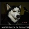 Аватар: Анька А вот...