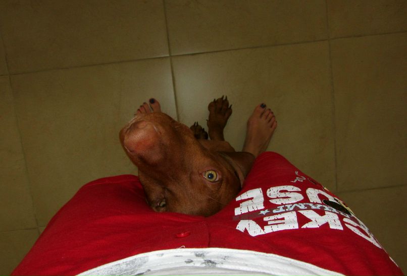 Эллина Григорчук | Иерусалим