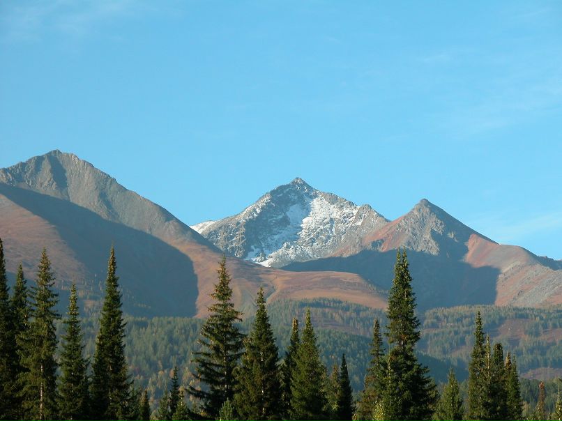 Юрий Цурпал | Сургут