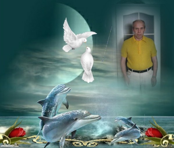 Алексей Анисимов | Северодвинск