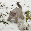 Фотография Дмитрий Климов