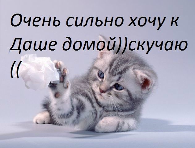 №37, Дарья Лещенко, 27 лет №37, Дарья Лещенко, 27 лет