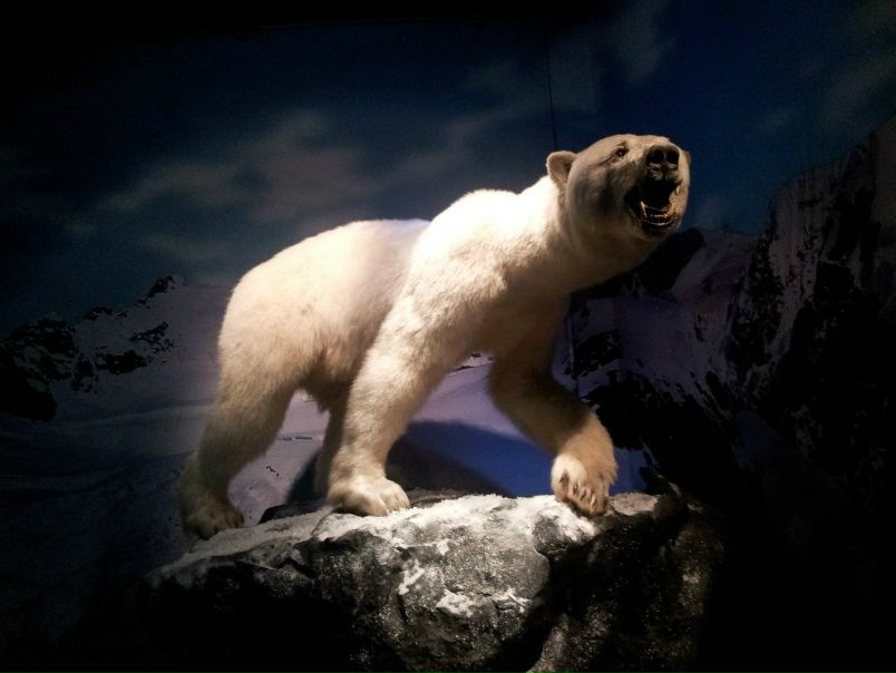 №48, Мария Миронова, Санкт-Петербург №48, Мария Миронова, Санкт-Петербург