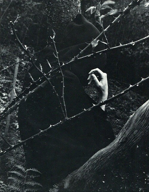 Нина Истомина | 