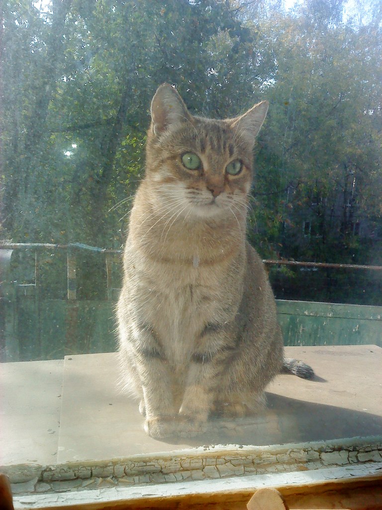 Татьяна Листратова | Москва