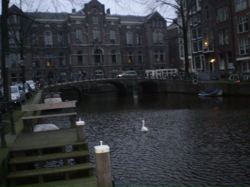 Антонина Осипова ~Shpongled~ | Москва