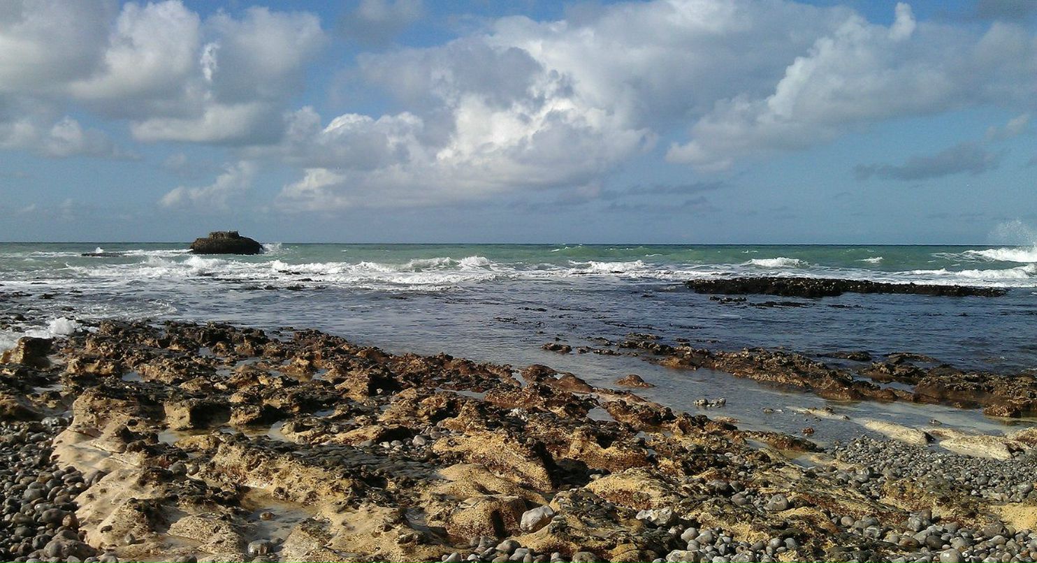 Дмитрий Костин | Le Havre