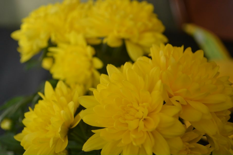 №55, Лариса Краснова, 39 лет, Москва №55, Лариса Краснова, 39 лет, Москва