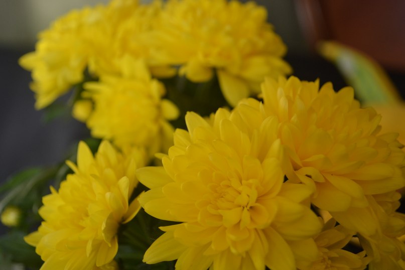 Лариса Краснова | Москва