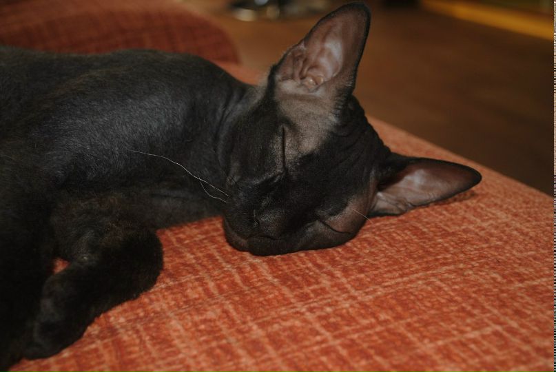 Катя Ярощук | Чернигов