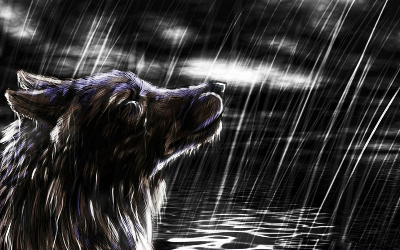 Николай Александрович | Калининград