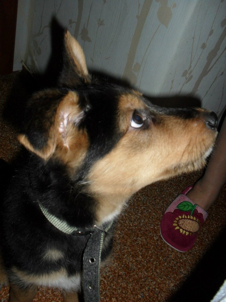 Виталия Кононова | Видное