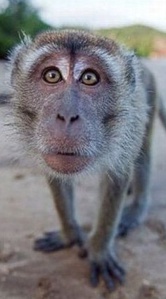 №89, Денис Зелинский, 27.1.1982 №89, Денис Зелинский, 27.1.1982