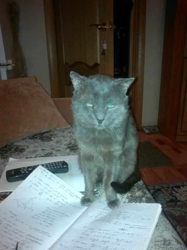 Ванек Горлин | Санкт-Петербург