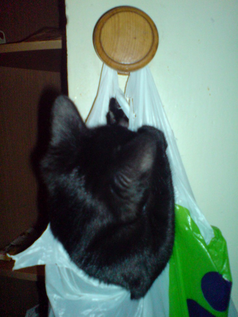 Катерина Янченко | Москва