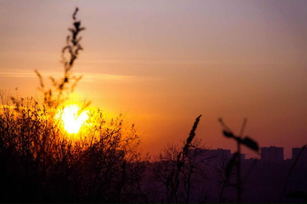 Надежда Клюшникова | Киев