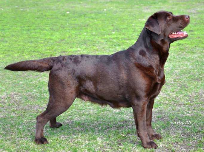 Екатерина Ильина Евгеньевна | Николаев