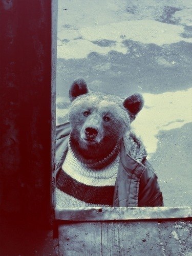 Dimas Kadikov | Мурманск